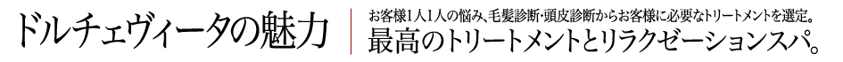 ドルチェ　ヴィータの魅力 